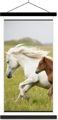 Produktbild von MuchoWow® Textilposter Pferde - Tiere - Gras 40x80 cm mit schwarzem Rahmen - Wandemalerei