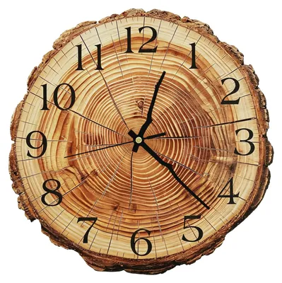 Holz-Wanduhr 30 cm, Jahrring-Design, geräuschlos, Retro