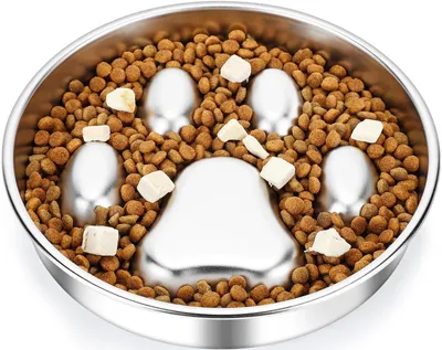 Immagine prodotto di Solidchoice - Ciotola per cani in acciaio inossidabile, progettata per rallentare l'alimentazione e favorire una corretta alimentazione