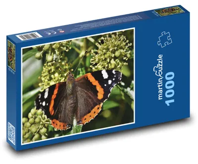 Zdjęcie produktu dla Puzzle 1000 Motyl na kwiecie - martinpuzzle