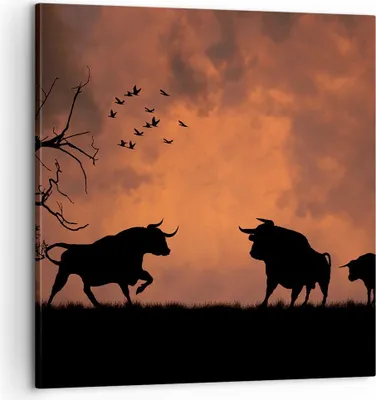 Produktbild von Bild auf Leinwand - Leinwandbild - Tier wütend Stier - 60x60cm - Wand Bild - Wanddeko - Wandbilder - Leinwanddruck - Bilder - Kunstdruck - Wanddekoration - Leinwand bilder - Wandkunst - AC60x60-0494