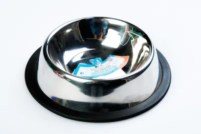 Produktbild von Trixie Trixie - Futternapf / Wassernapf - Edelstahl - Gummiring - 15 cm 200 ml