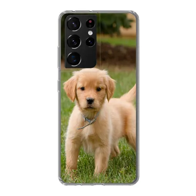 Produktbild von MuchoWow® Handyhülle Schutzhülle Hülle für Samsung Galaxy S21 Ultra Golden Retriever Welpe im grünen Gras Silikon Softcase Handy Hülle - Mobiltelefon