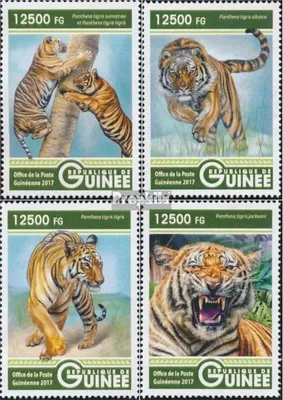 Produktbild von Briefmarken Guinea 2017 Mi 12311-12314 (kompl. Ausgabe) postfrisch Tiger