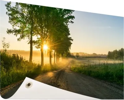 Produktbild von Gartenposter - 60x40 cm - Sonnenaufgang durch die Bäume  - Modernes Wandbilder - Natur