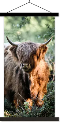 Produktbild von MuchoWow® Textilposter Schottische Hochlandrind - Wald - Tiere 90x180 cm mit schwarzem Rahmen - Dekoration Wohnzimmer