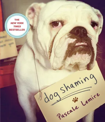 Produktbild von Dog Shaming