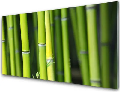 Produktbild von Acrylglasbilder 100x50 Wandbild Druck Bambusrohr Natur