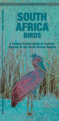 Imagen del producto de South Africa Birds