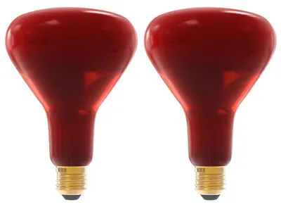 Productafbeelding van Technik E27 Infraroodlamp Dimbaar 250W - Volledig Infrarood Lamp R125 - 2 stuks