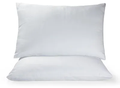Obrázok produktu pre Sada 2 obliečok na vankúše z 100% ľanu, 50 x 80 cm