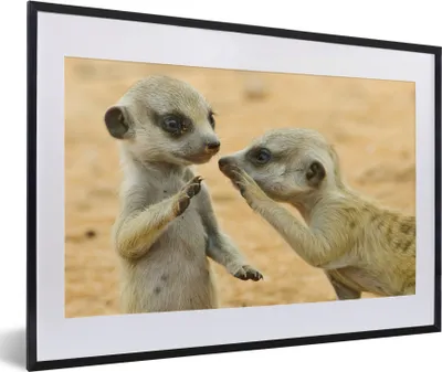 Produktbild von MuchoWow® MuchoWow® Gerahmtes Poster Erdmännchen - Braun - Tier 60x40 cm - Poster mit zchwarzem Bilderrahmen - Schlafzimmer - Plakat in Rahmen - Drucken