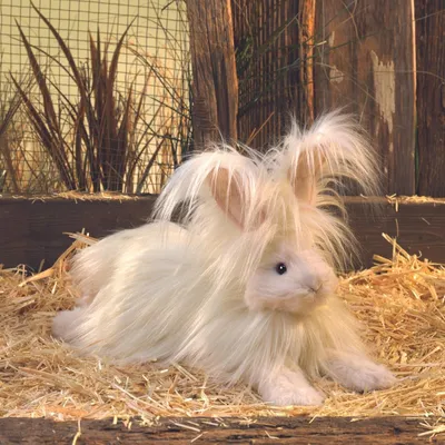 Zdjęcie produktu dla Lalka ręczna Folkmanis, 43 cm, królik angora / królik angorsk, model 3188