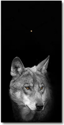 Produktbild von Wanduhr aus Glas – 30x60 cm - Glasbild - Glasuhr - Gehärtetes Glas -Wolf