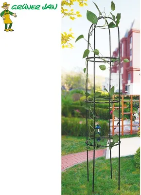 Image de Rankobelisk en métal 200cm Support pour plantes grimpantes Grille pour fleurs Colonne pour rosiers Colonne pour plantes grimpantes