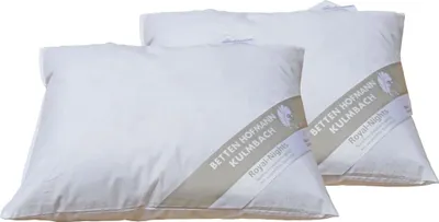 Produktbild von 2 Stück Federkissen Kleinkissen Kuschelkissen Sofakissen Dekokissen 35x40 200g