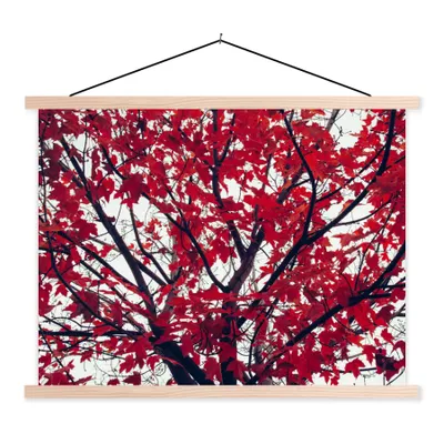 Produktbild von MuchoWow® Textilposter Ahorn - Blätter - Herbst - Natur 120x90 cm mit holzfarbenen Rahmen - Magnetisch