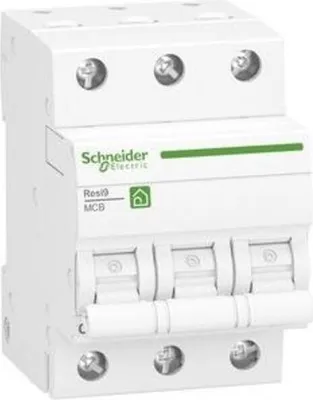 Image de Disjoncteur Schneider Electric R9F24363