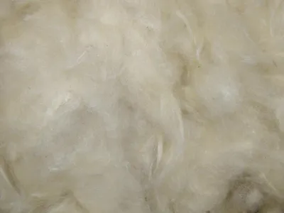 Obrázok produktu pre Nobby 81104, Nest, Vlna, Biela, 50 g, 1 kusov