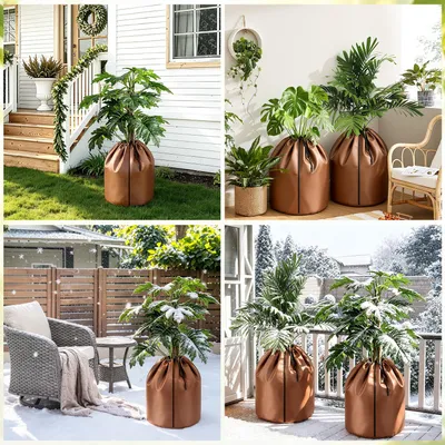 Image de ISOISL, protection hivernale pour palmiers, lot de 2, 70x65 cm, couleur marron. Protection thermique résistante aux intempéries, avec fermeture éclair, pour plantes en pot