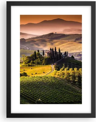 Produktbild von Gerahmtes Poster - Schwarzer Rahmen - Landwirtschaft Bauernhof Toskana Weinberg - 30x40 cm - Wand Bild - Wanddeko - Wandbilder - Wandposter - Bilderrahmen - Bilder - Kunstdruck - P2BPA30x40-2465