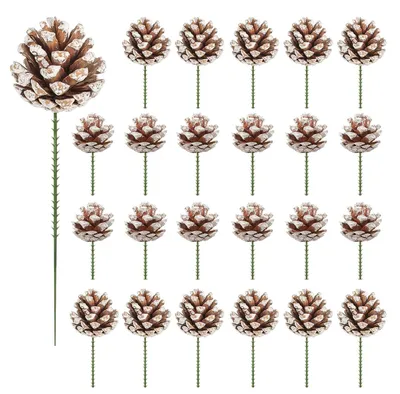 Image de 24 cônes de pin avec leurs tiges, idéaux pour la décoration