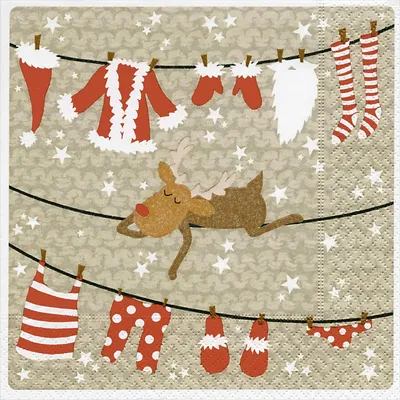 Produktbild von RP 20 Servietten Chilling 33x33cm