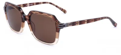 Produktbild von Scotch & Soda Sonnenbrille SS8029 103 54 19 145