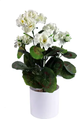 Obrázok produktu pre Umelý pelargónie 34cm biely umelý kvet balkón kvetina rastlina