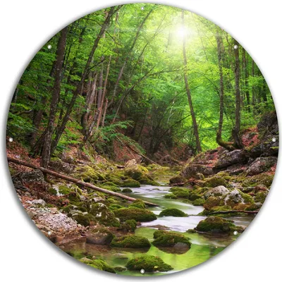 Produktbild von Wallario rundes Outdoor-Poster für Garten oder Balkon, Motiv Fluss im Wald, 60 cm Durchmesser