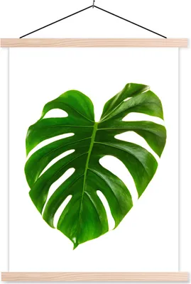Produktbild von MuchoWow® Textilposter Großes botanisches Blatt auf weißem Hintergrund 60x80 cm mit holzfarbenen Rahmen - Wandbild