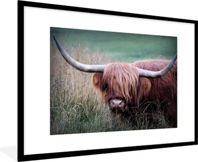 Produktbild von MuchoWow® Gerahmtes Poster Schottischer Highlander - Porträt - Rindsleder 90x60 cm - Poster mit Schwarzem Bilderrahmen Wandposter Rahmen Foto Bilder - Wanddekoration - Fotos