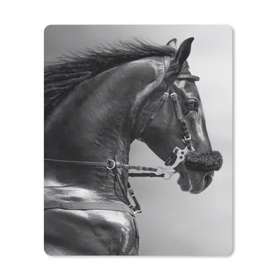 Produktbild von MuchoWow® Mauspad Mousepad Pferde - Schwarz - Porträt - Tiere 19x23 cm - Mousepads - Maus Mat - Pad - Mausunterlage - Mauspads - Spielen