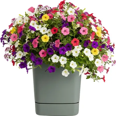 Immagine prodotto di HowHomely | Vaso da fiori con sottovaso - Vaso per piante - Grigio-verde - 34x34 cm - Realizzato con materiale riciclato - Coprivaso - Pratico