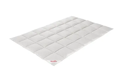 Produktbild von Steppbett 135 x 200 cm Baumwollbezug Entendaunen Federn