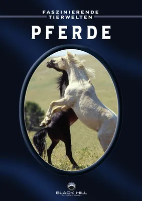 Produktbild von Faszinierende Tierwelten: Pferde