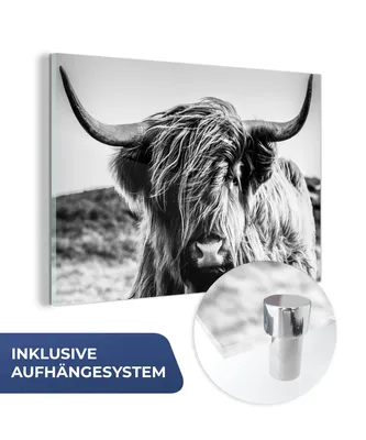 Obrázok produktu pre MuchoWow® Sklenené obrazy - Obrazy na stenu - Foto na skle Krava - Škótska horalka - Čierna - Biela - Zviera - Príroda - Divoká zver 120x80cm Nástenná dekorácia