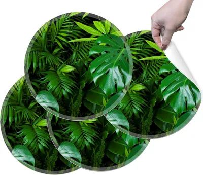 Produktbild von HUBDECO Strapazierfähige Schützende Esstischmatten - Set mit 4 abwaschbaren Vinyl-Tischmatten - Platzdeckchen für Küche - Tischmatte - Tischsets Abwaschbar - 36 x 36 cm - Monstera
