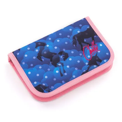 Obrázek produktu pro Školní pouzdro Topgal CHI 851 D - Blue