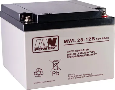Zdjęcie produktu dla Mwl 28-12B: Akumulator Agm 12V/28Ah, 166*175*125 (M5)
