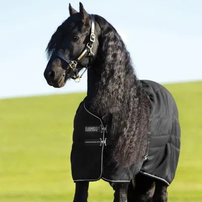 Produktbild von Horseware Rambo Stable 400g