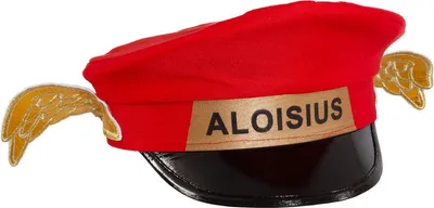 Image de Chapeau avec des ailes