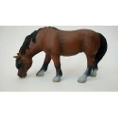 Produktbild von Schleich 13299 Reitpony, grasend