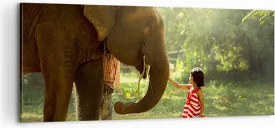 Produktbild von Bild auf Leinwand - Leinwandbild - Elefant Tier - 100x40cm - Wand Bild - Wanddeko - Wandbilder - Leinwanddruck - Bilder - Kunstdruck - Wanddekoration - Leinwand bilder - Wandkunst - AB100x40-3884