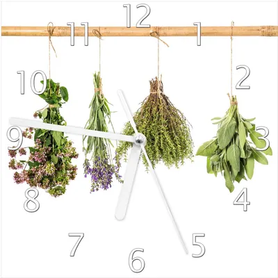Produktbild von Wallario Design Wanduhr Verschiedene Kräuter an der Leine aus Echtglas, Größe 20 x 20 cm