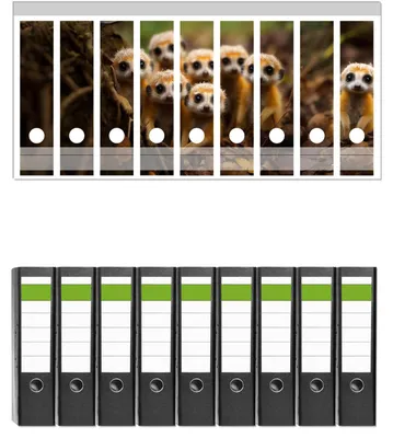 Produktbild von Wallario 9 Stück breite Ordner inkl. Klebeetiketten mit Motive Neugierige Erdmännchen -  Set mit Rückenschildern / Ordnerrücken Stickern