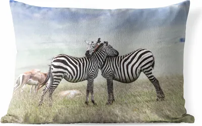 Produktbild von MuchoWow® Outdoor Kissen - Zebras - Gras - Schwarz - Weiß - 60x40 cm - Wetterfest - Lounge Kissen - Zierkissen - Kissen für Innenräume