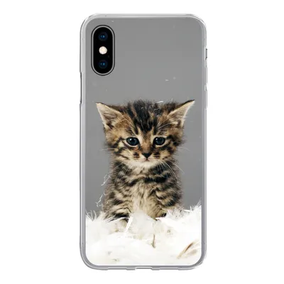 Obrázok produktu pre Kryt mobilného telefónu pre Apple iPhone X/10 Mačka - mačiatko - perie Silikónové mäkké puzdro