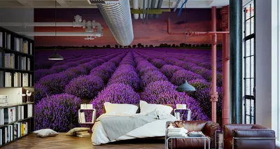 Immagine prodotto di Carta da parati in tessuto non tessuto murale bellissimo campo di lavanda 270 cm (L) x 180 cm (H) decorazione murale della parete