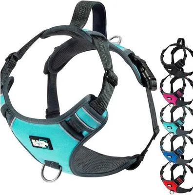 Produktbild von Klein Hundegeschirr mit Mesh-Futter, reflektierend, 2 Brustgurte, für kleine Hunde